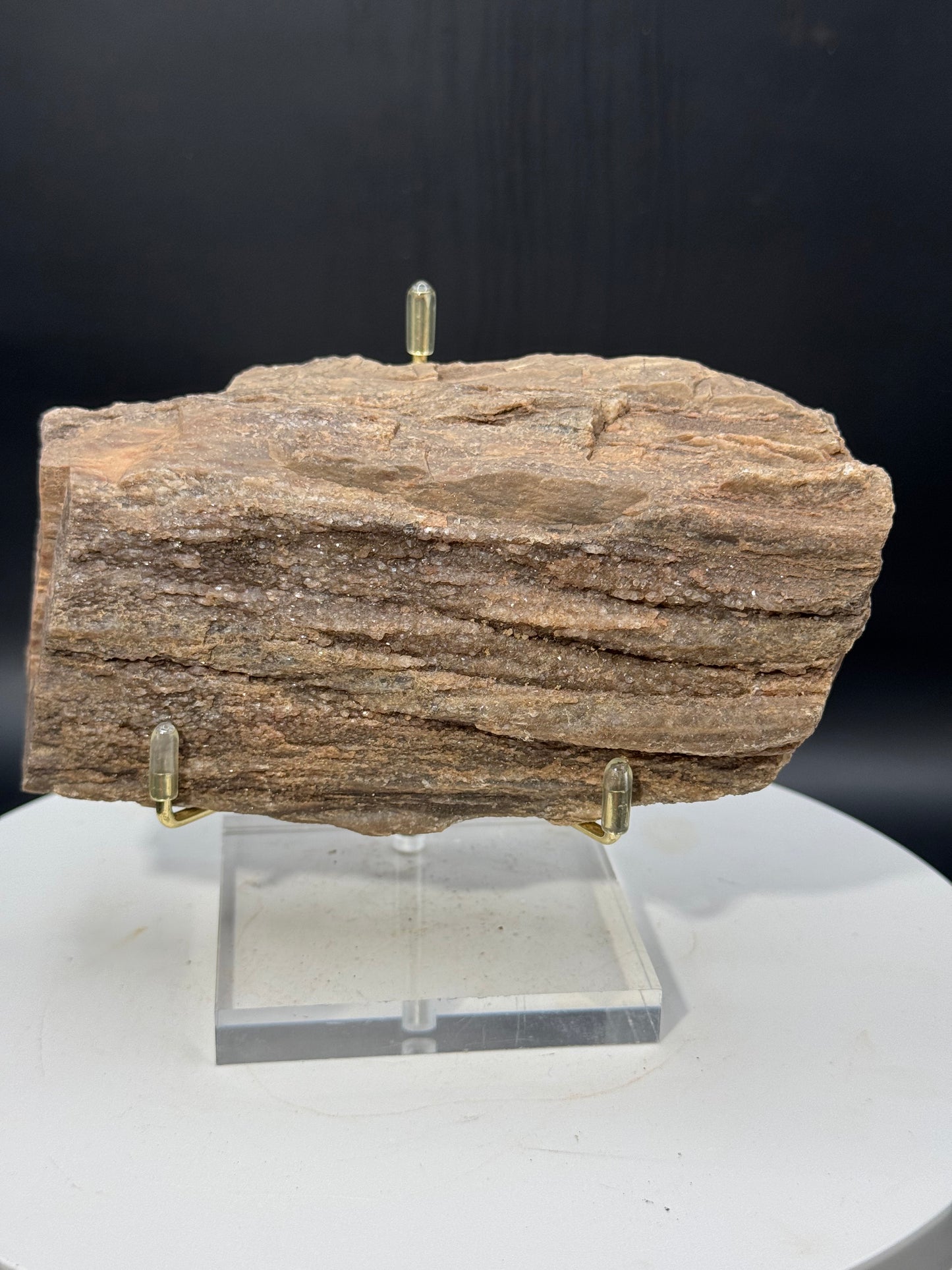 Northern Arizona Petrified Wood with Druzy Quartz 1.2 LBS with Stand!