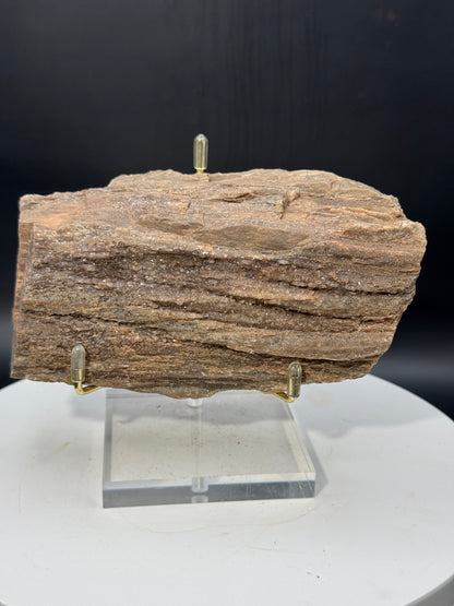 Northern Arizona Petrified Wood with Druzy Quartz 1.2 LBS with Stand!
