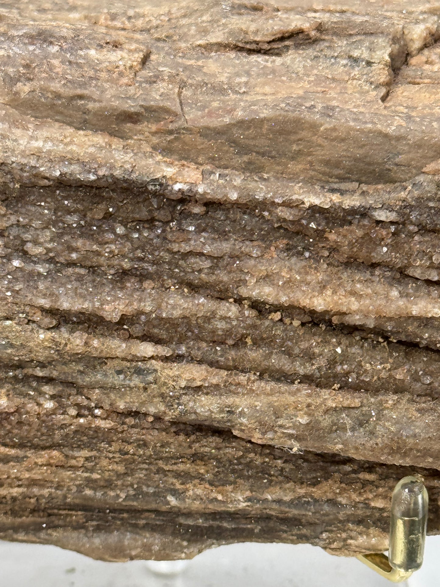 Northern Arizona Petrified Wood with Druzy Quartz 1.2 LBS with Stand!