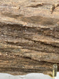 Northern Arizona Petrified Wood with Druzy Quartz 1.2 LBS with Stand!