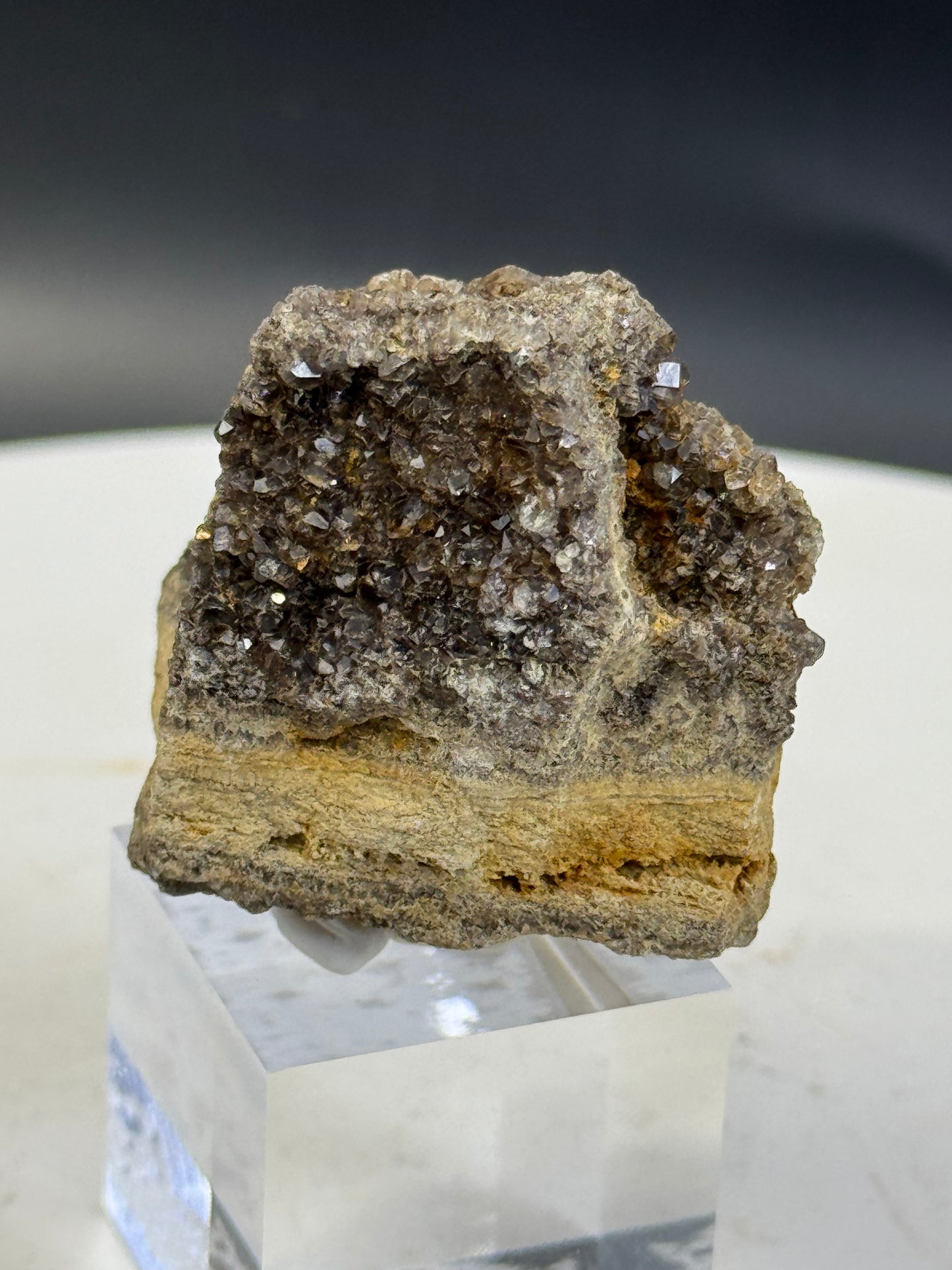 Alabama Brilliant Petrified Wood with Smokey Quartz 27 Grams on Base