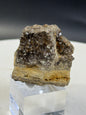 Alabama Brilliant Petrified Wood with Smokey Quartz 27 Grams on Base