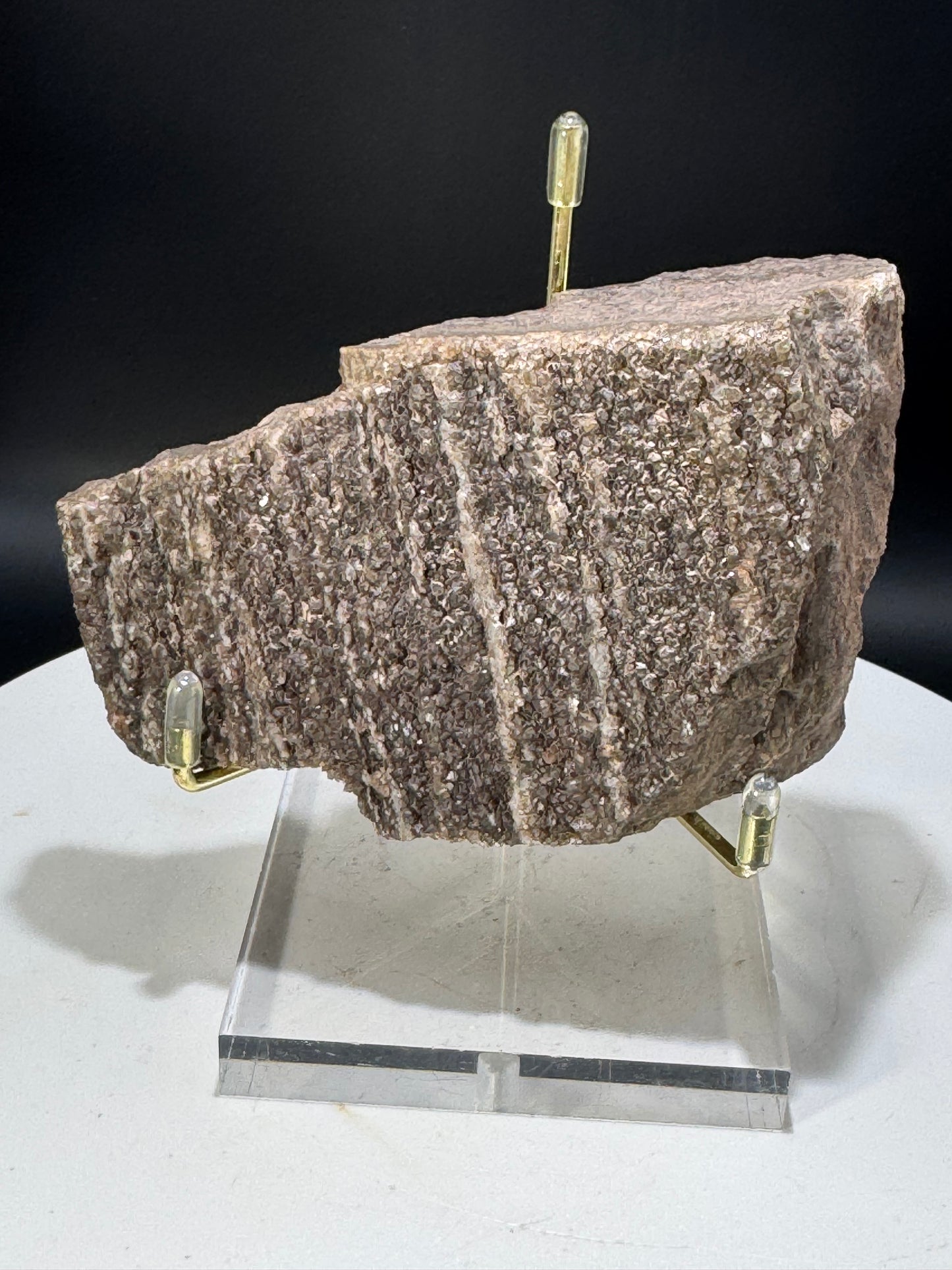 Northern Arizona Petrified Wood with Druzy Quartz .77 LBS with Stand!