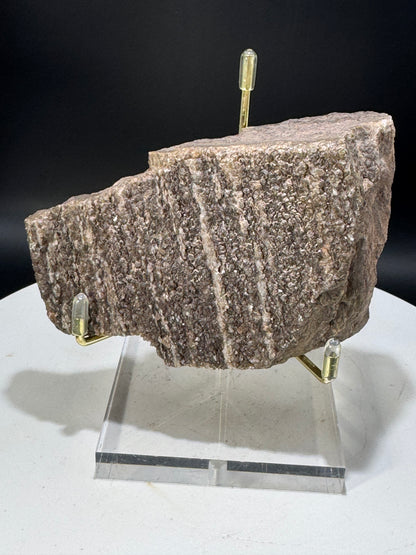 Northern Arizona Petrified Wood with Druzy Quartz .77 LBS with Stand!