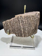 Northern Arizona Petrified Wood with Druzy Quartz .77 LBS with Stand!