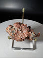 Michigan Keweenaw Peninsula Native Copper 217 Grams