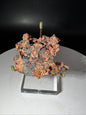 Michigan Keweenaw Peninsula Native Copper 142 Grams