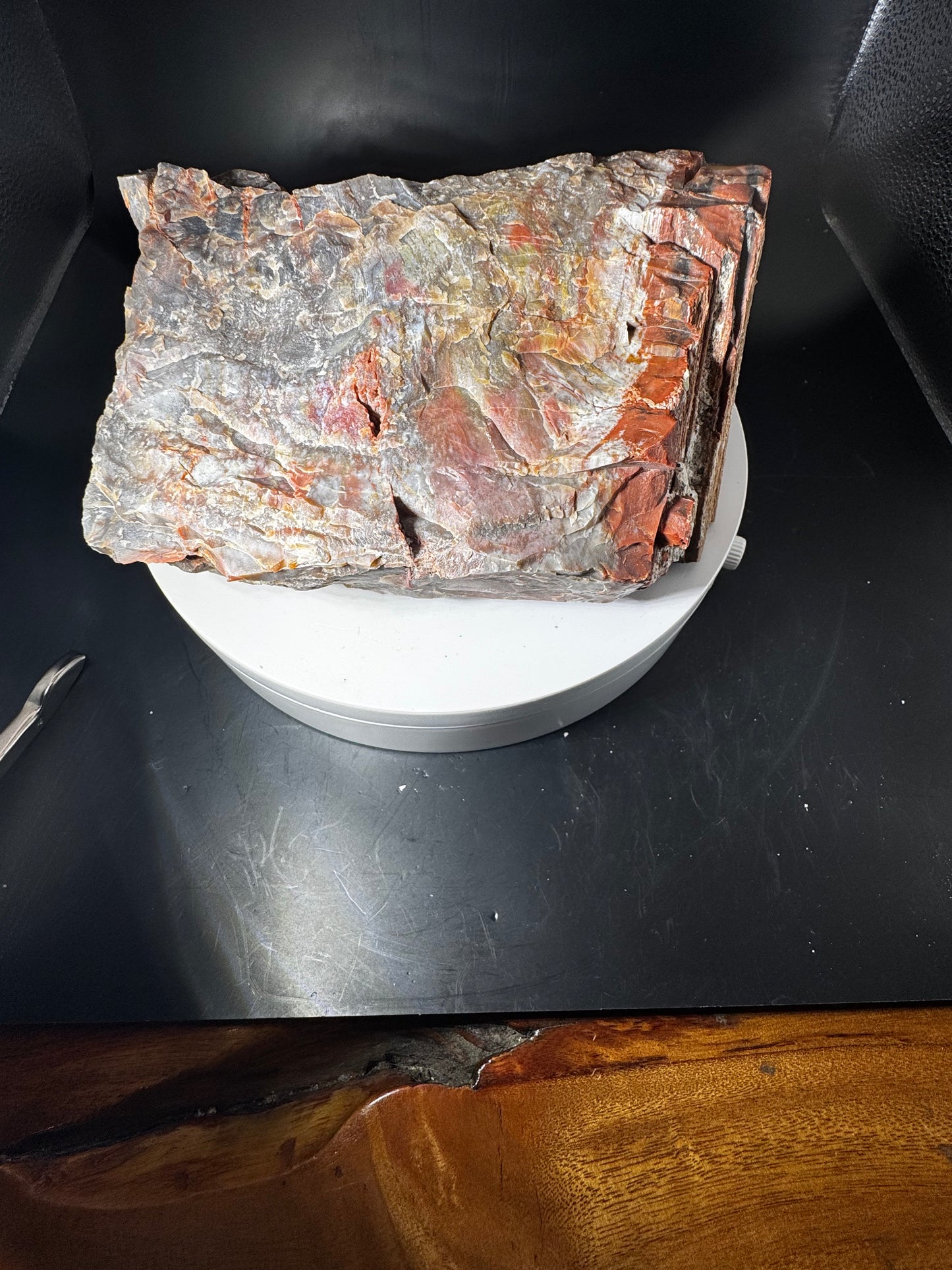 Arizona Rainbow Petrified Wood 4.2 LBS!