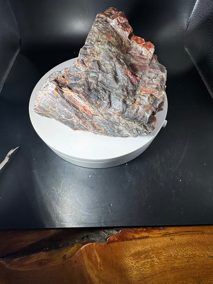 Arizona Rainbow Petrified Wood 4.2 LBS!