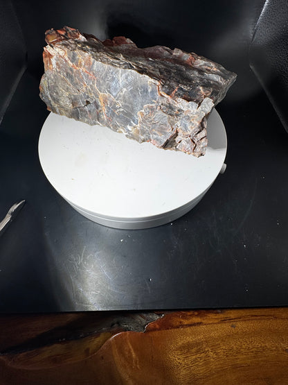 Arizona Rainbow Petrified Wood 4.2 LBS!