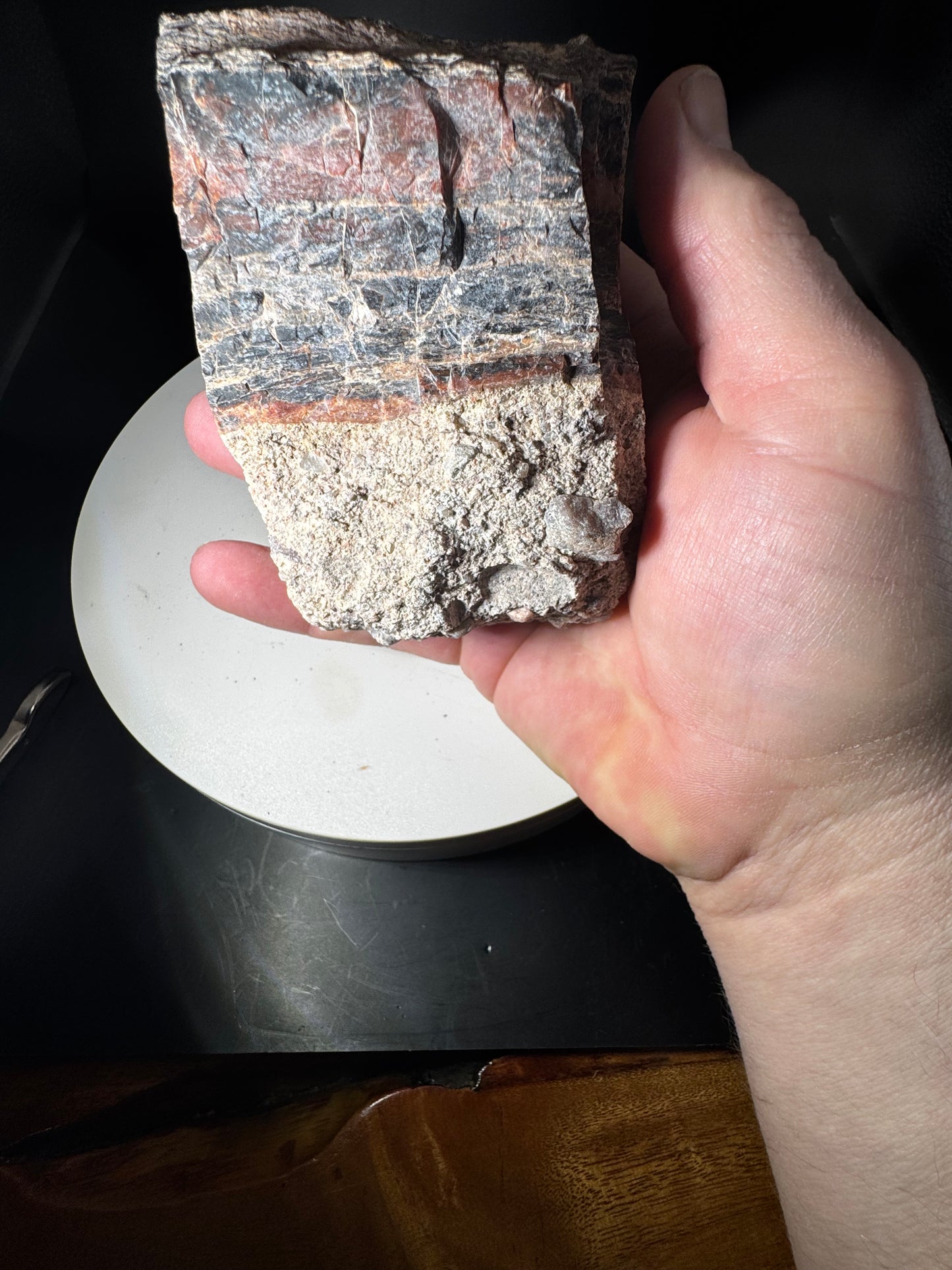 Arizona Rainbow Petrified Wood 1.4 LBS!