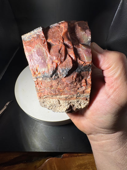 Arizona Rainbow Petrified Wood 1.4 LBS!