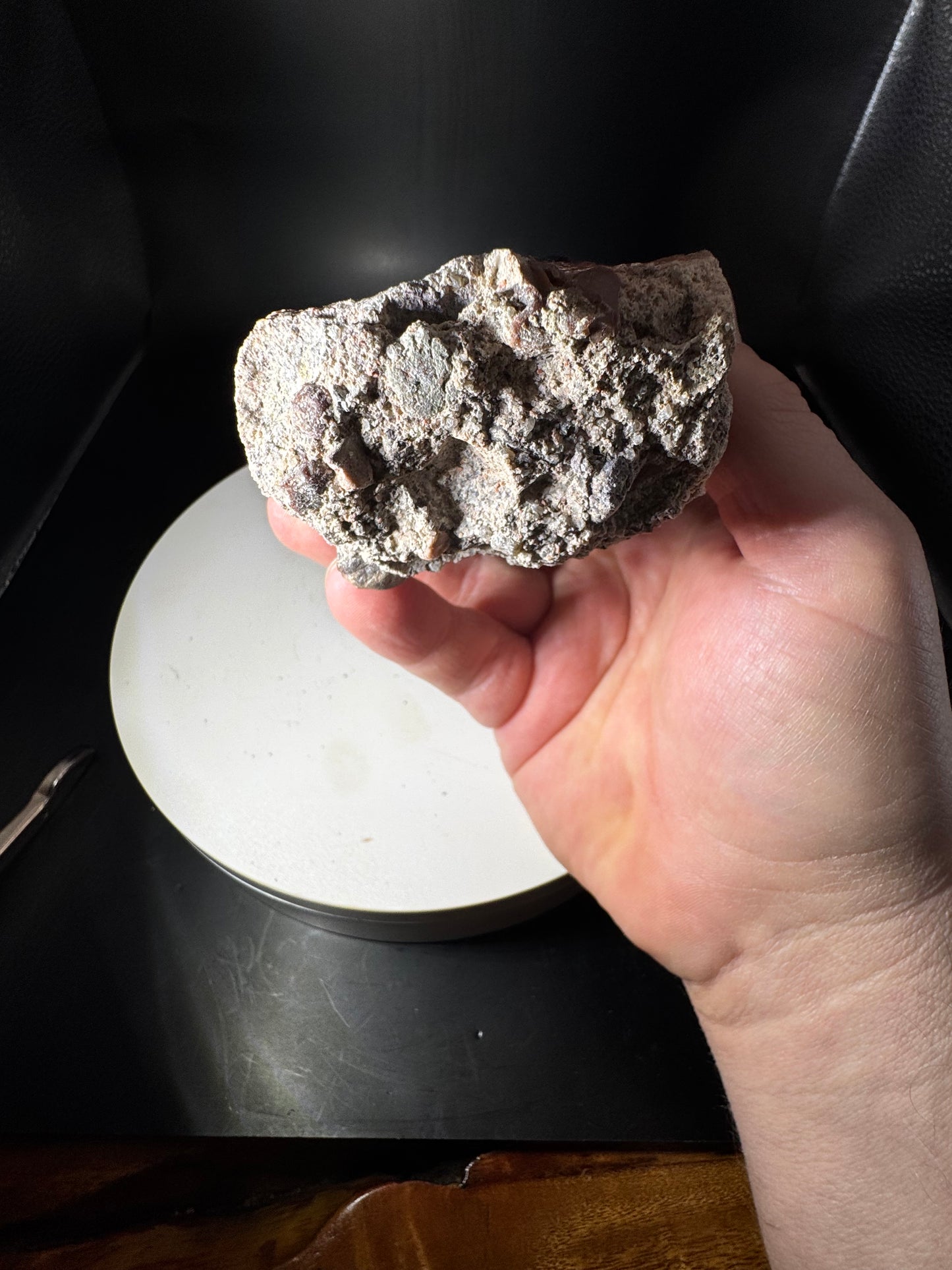 Arizona Rainbow Petrified Wood 1.4 LBS!