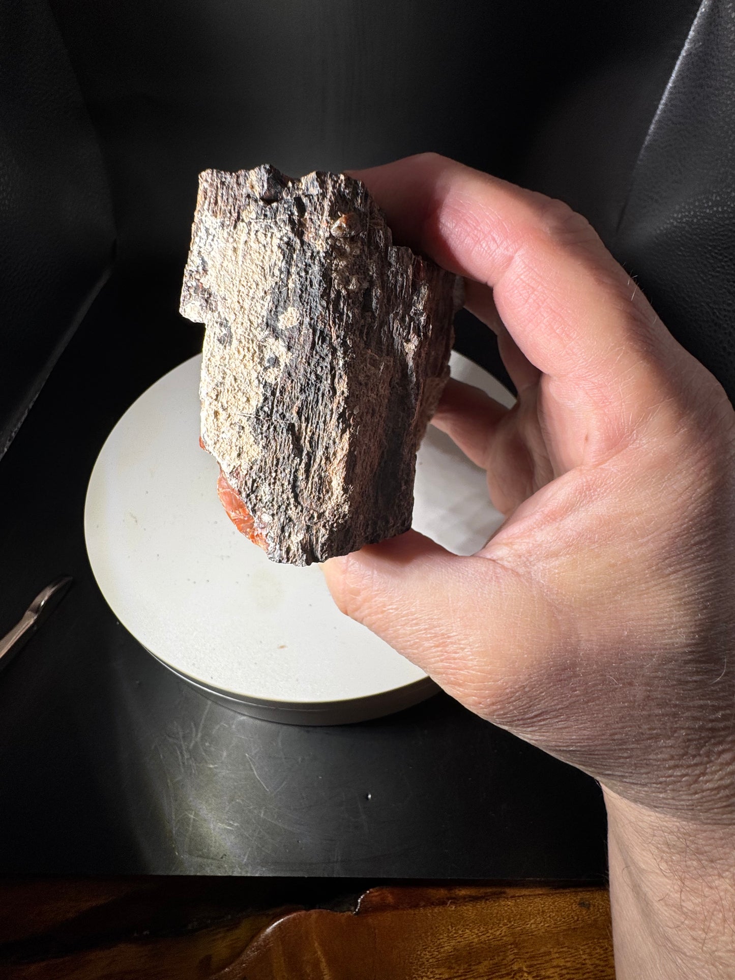 Arizona Rainbow Petrified Wood 1.4 LBS!
