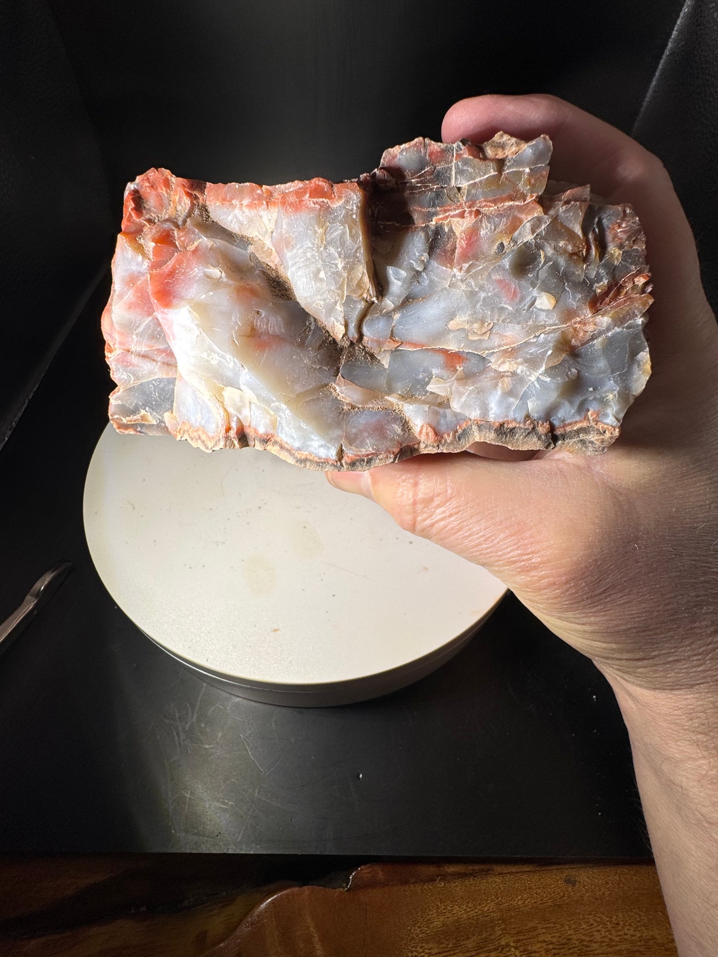 Arizona Rainbow Petrified Wood 2.3 LBS!