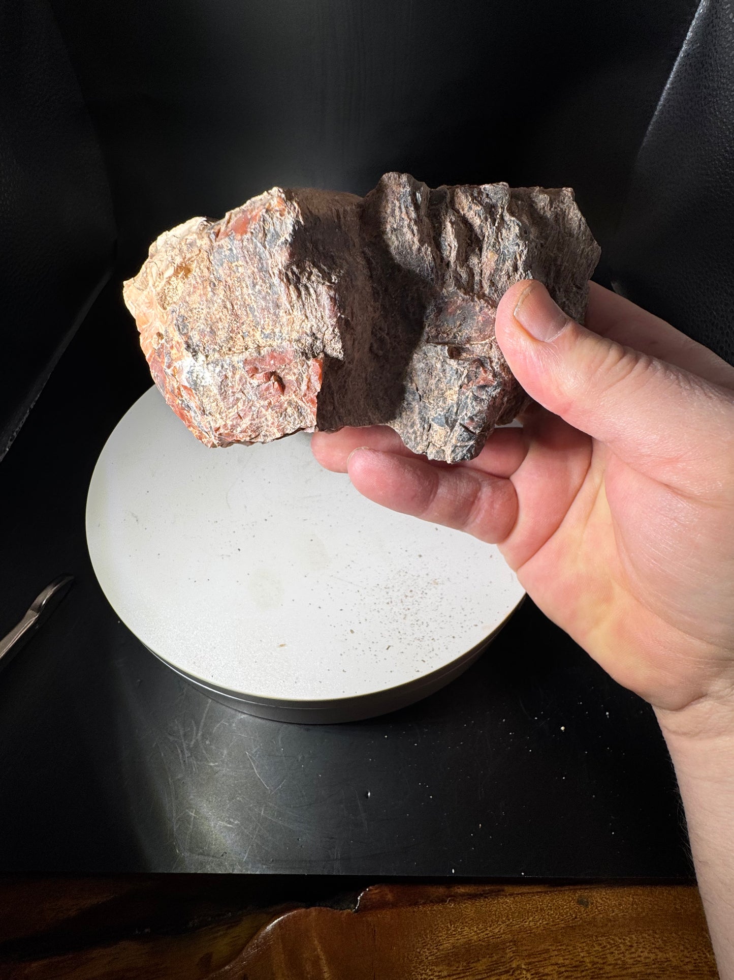 Arizona Rainbow Petrified Wood 2.3 LBS!