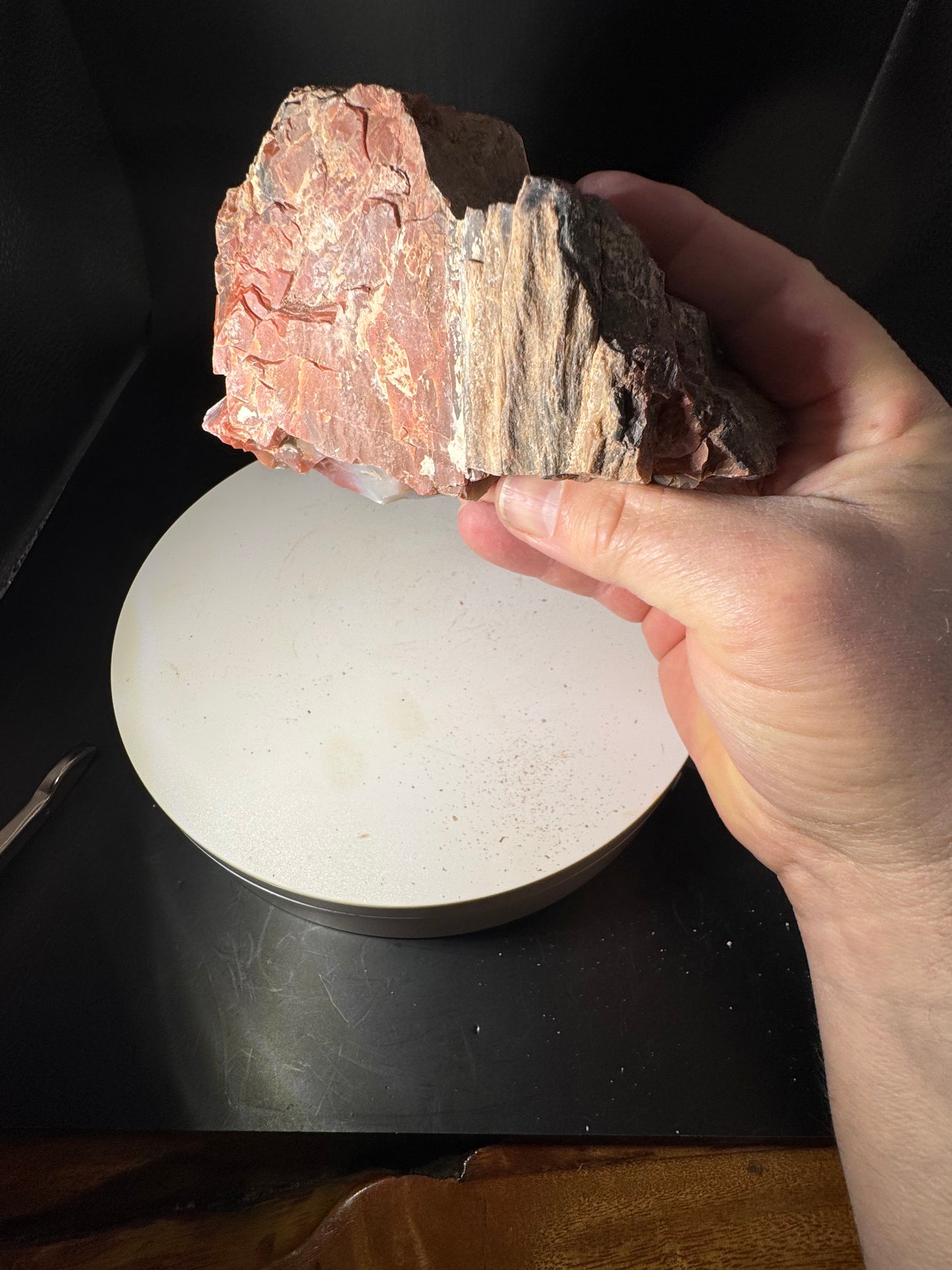 Arizona Rainbow Petrified Wood 2.3 LBS!