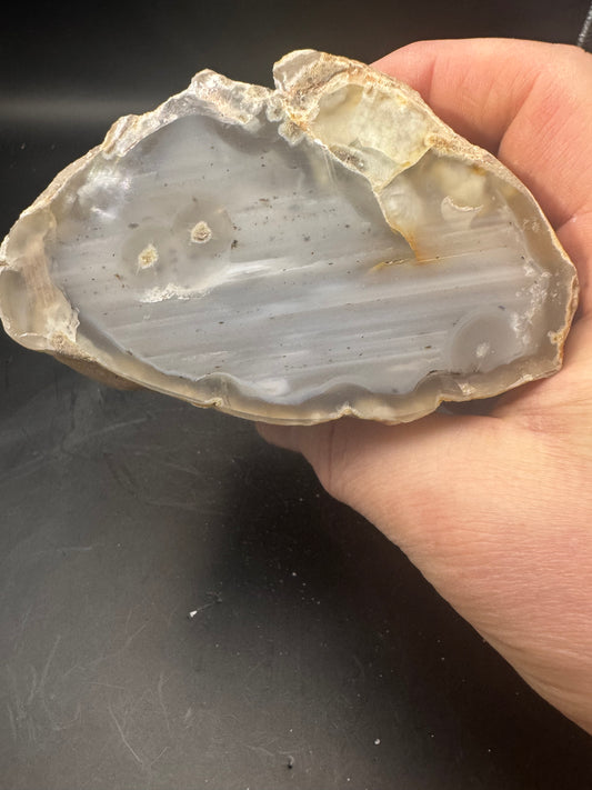 Full Round Limb cast Wiggins Fork Wyoming 1.7 LBS!