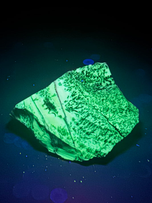 Dendritic Opal Chihuahua Mex 1/2LB! UV Reactive