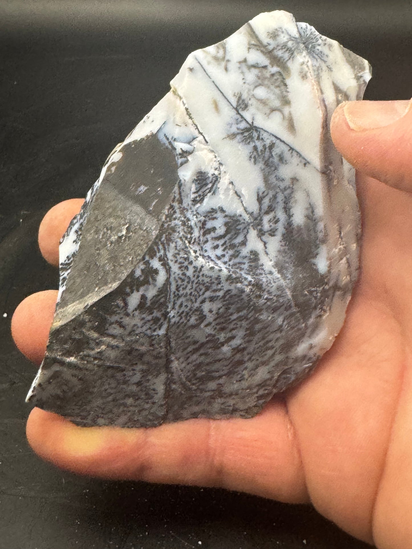 Dendritic Opal Chihuahua Mex 1/2LB! UV Reactive