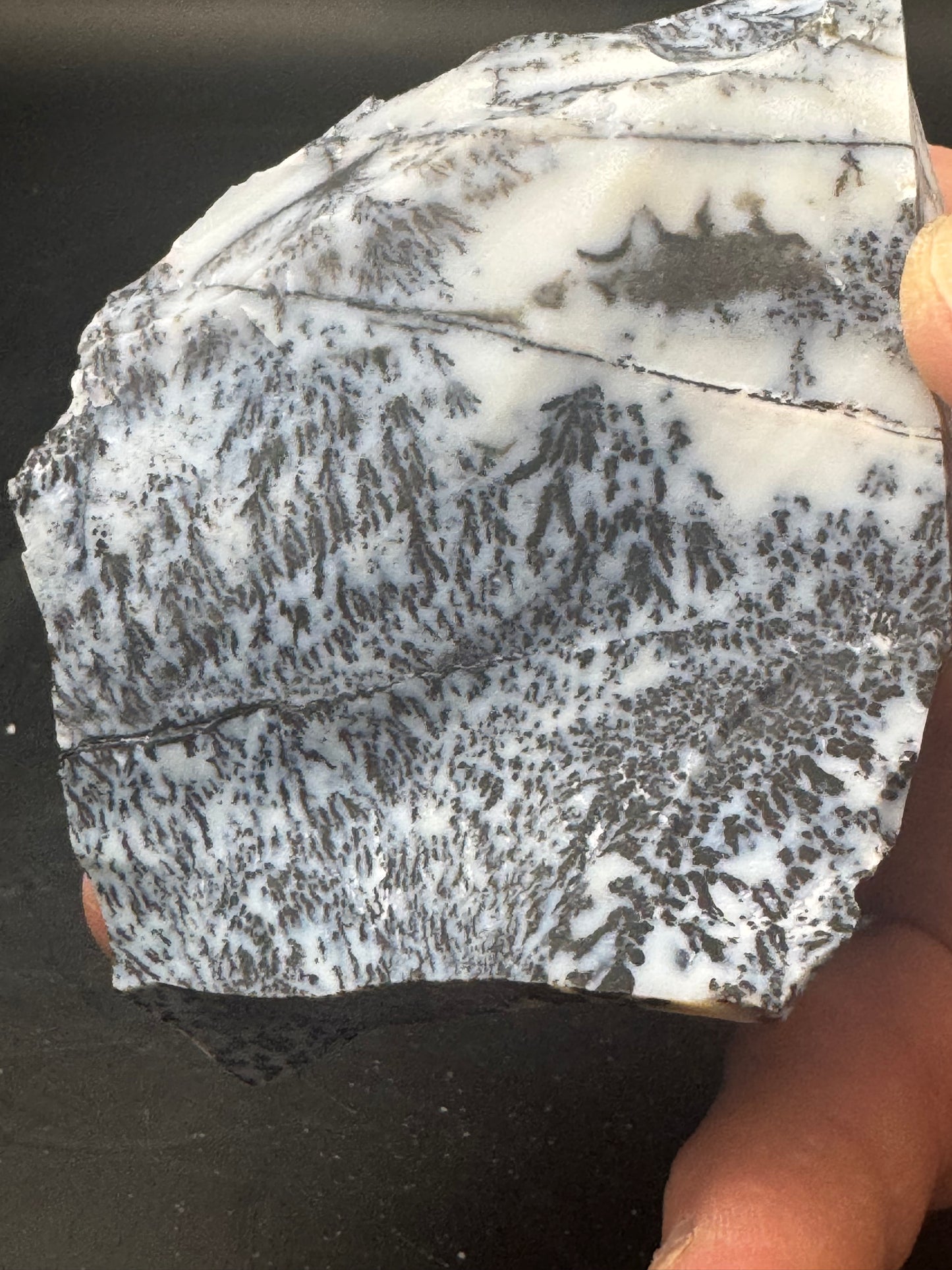 Dendritic Opal Chihuahua Mex 1/2LB! UV Reactive