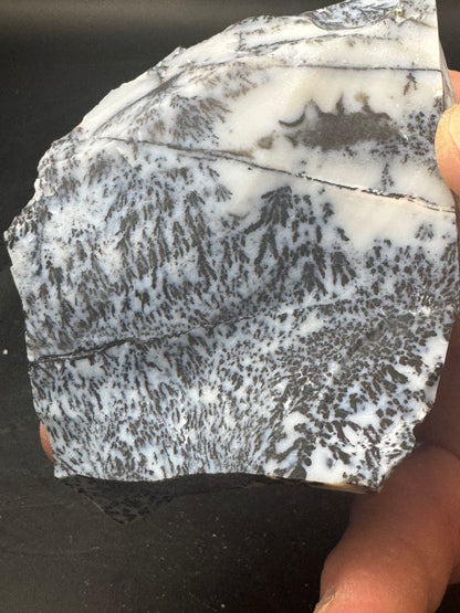 Dendritic Opal Chihuahua Mex 1/2LB! UV Reactive