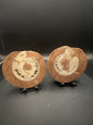 UV Reactive Ammonite Pair From Indonesia with Stands | 304 Grams