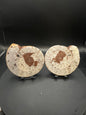 UV Reactive Ammonite Pair From Indonesia with Stands | 300 Grams