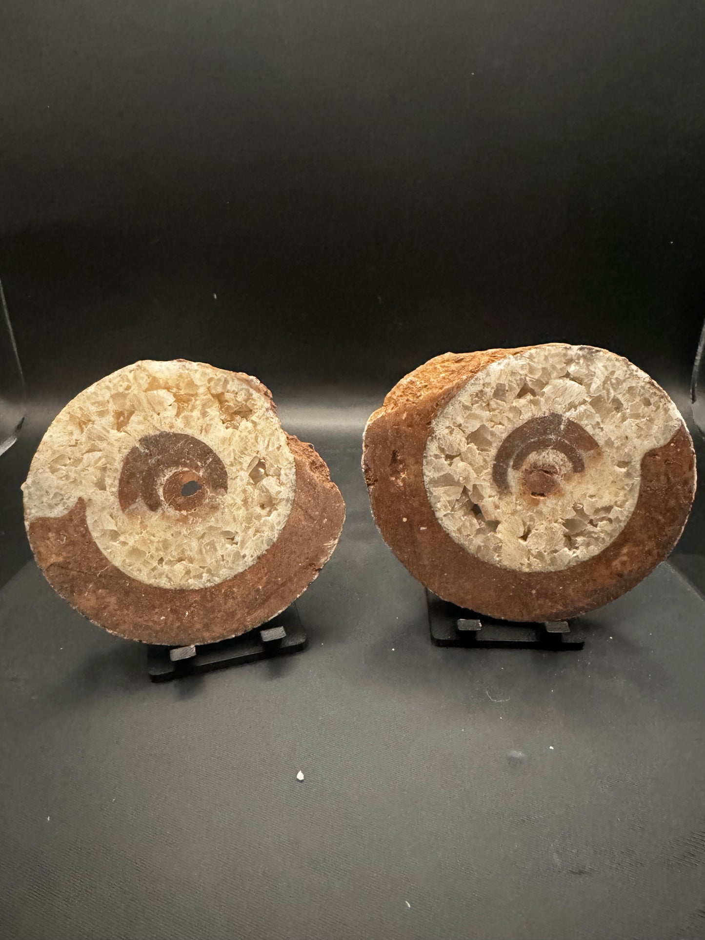 UV Reactive Ammonite Pair From Indonesia with Stands | 247 Grams