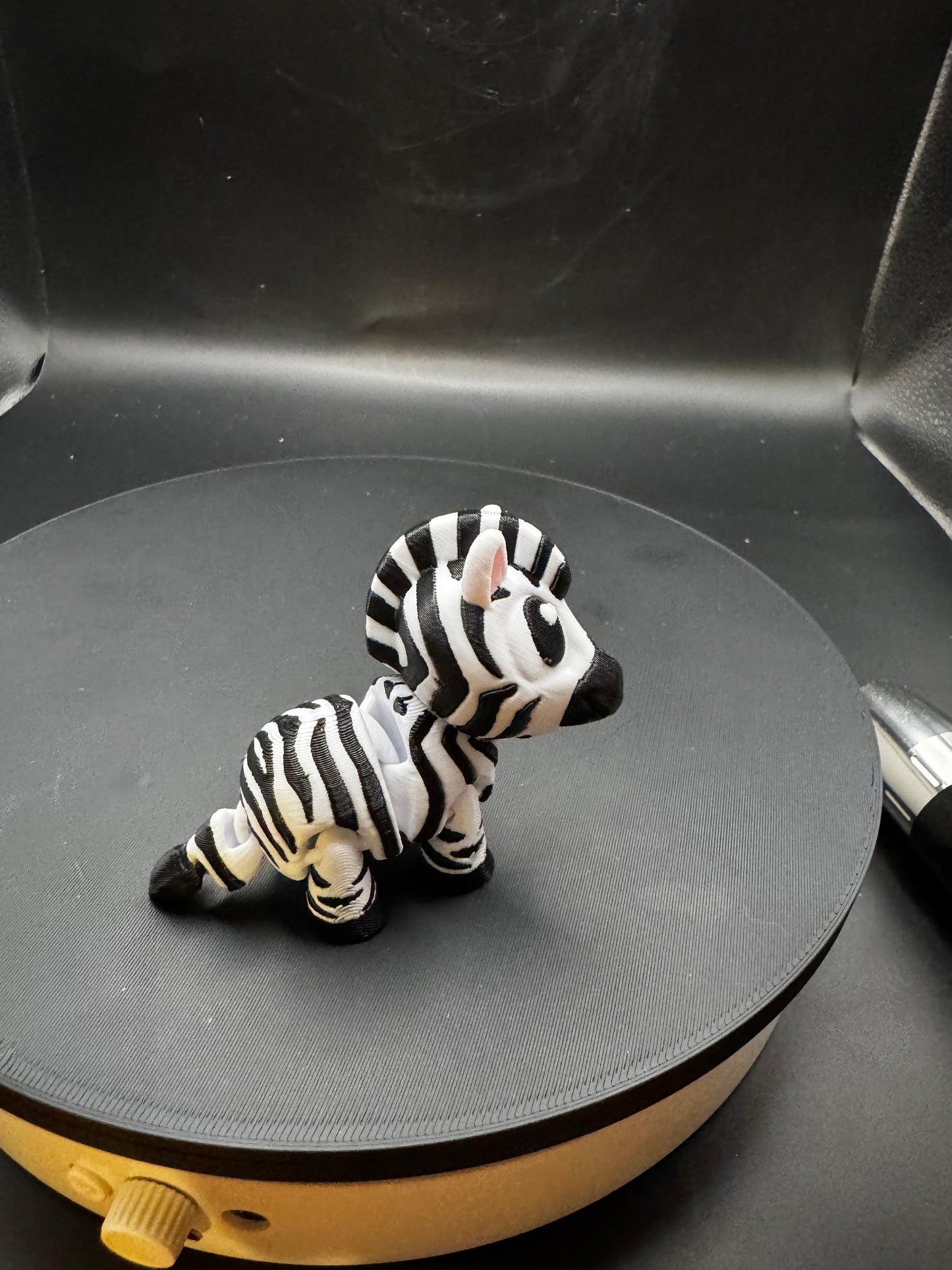 Flexi Zebra 2 inch