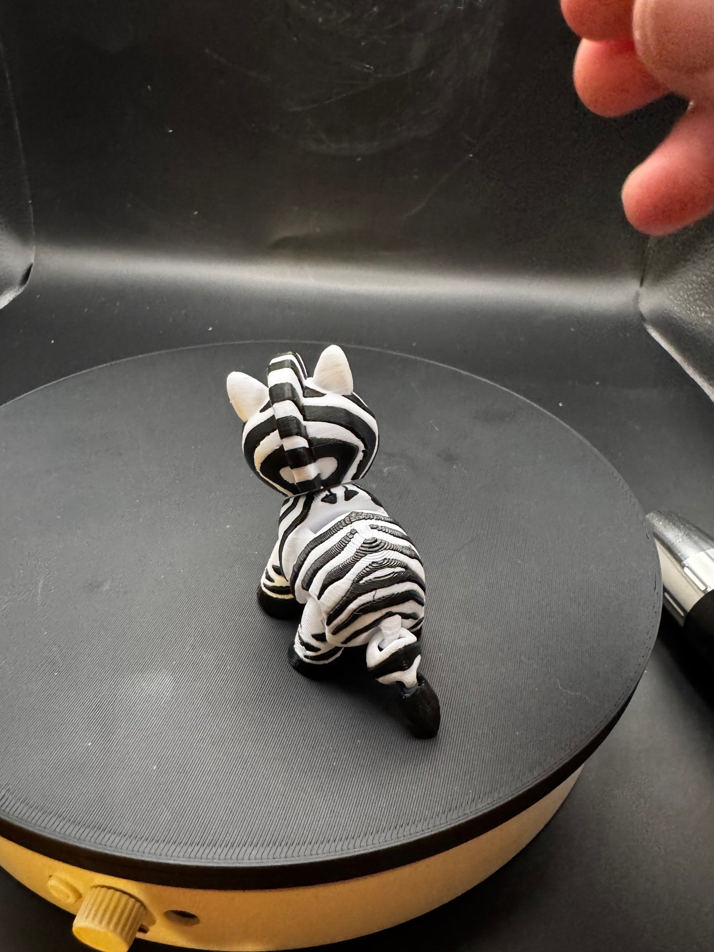 Flexi Zebra 2 inch
