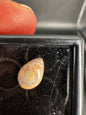 Mexican Cantera Fire Opal Cabochon 2.20 CT