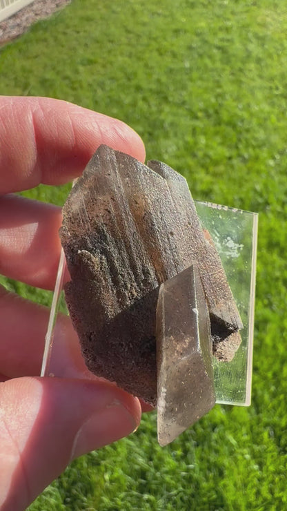 Phantom Selenite from La Platosa mine in Bermejillo Durango Mex 27 grams