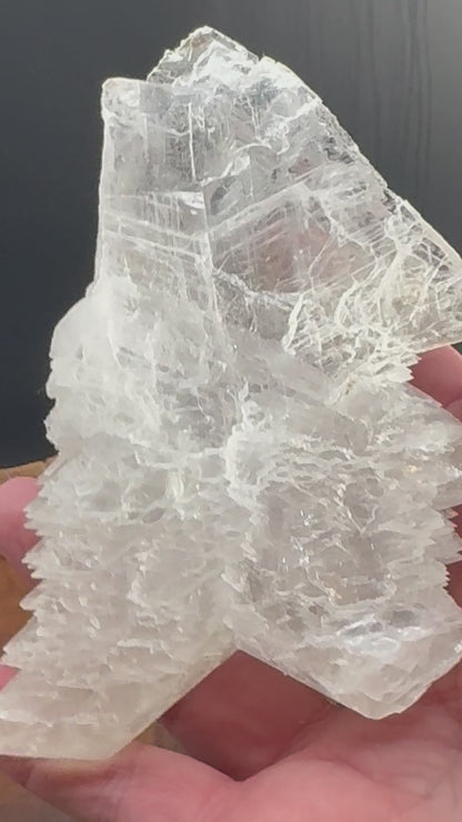 Awesome Fishtail Selenite Laguna del Ray, Coahuila Mex 292 Grams