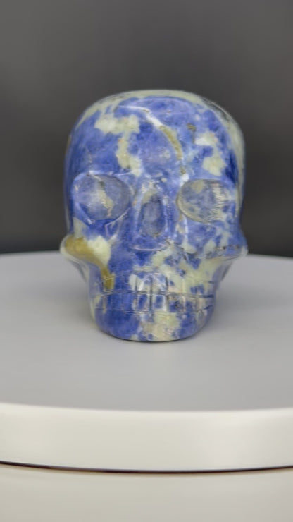 Hand Carved Sodalite Skull