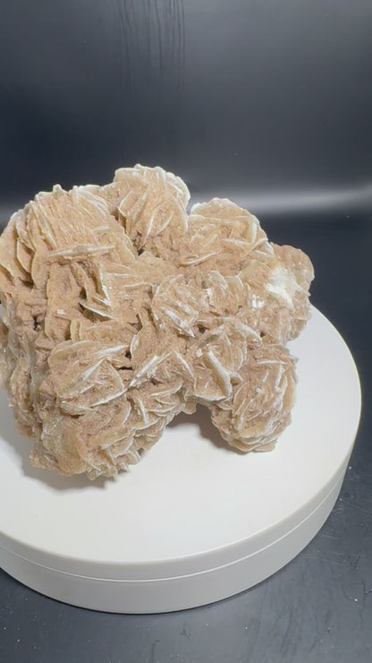 Desert Rose Selenite Cluster 2.5 lbs!