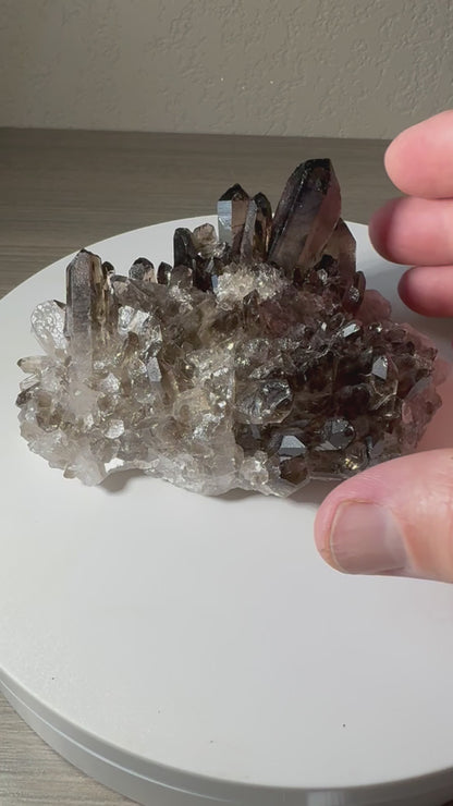 Smokey Quartz Cluster from Brazil
