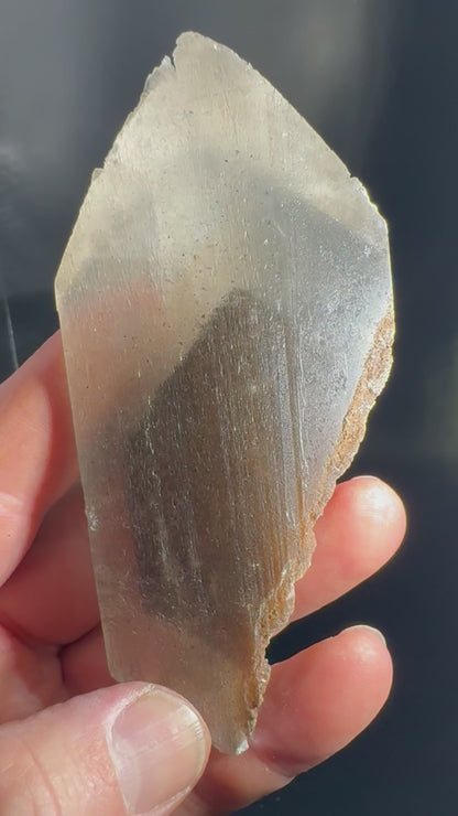 Phantom Selenite from La Platosa mine in Bermejillo Durango Mex 106 grams