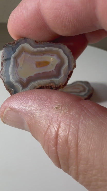 Malawi Agate Pair
