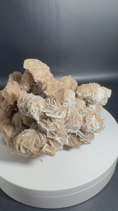 Desert Rose Selenite Cluster 1.7 lbs!