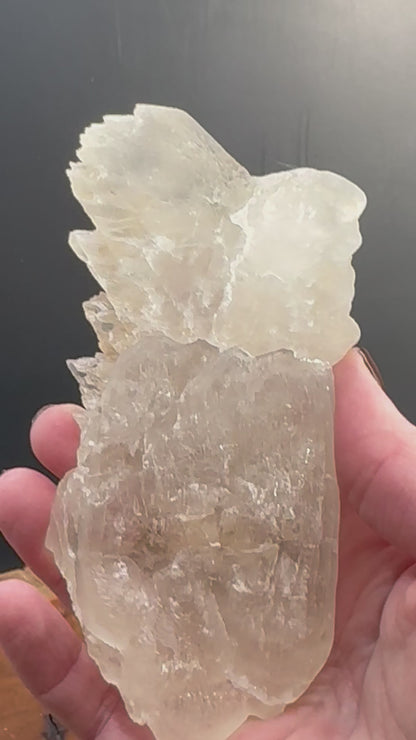 Awesome Fishtail Selenite Laguna del Ray, Coahuila Mex 310 Grams