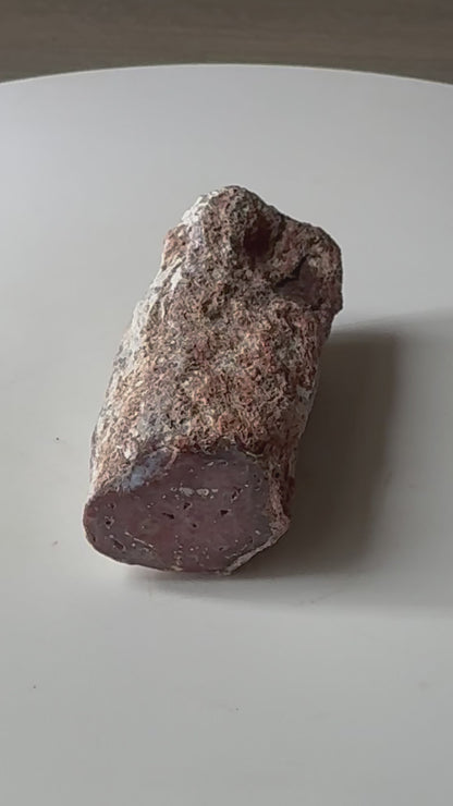 Small Petrified wood