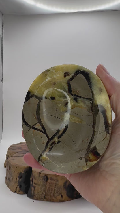 Septarian Bowl