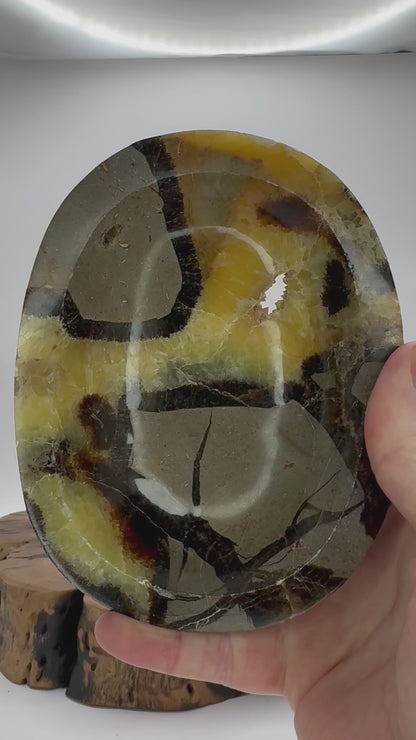 Septarian Bowl