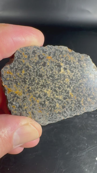 Leopard Opal Rough Slab 37 Grams