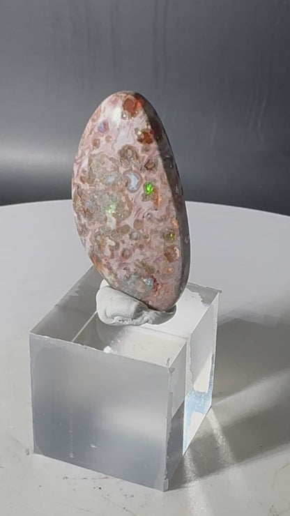 Mexican Cantera Fire Opal Cabochon 41.7 ct