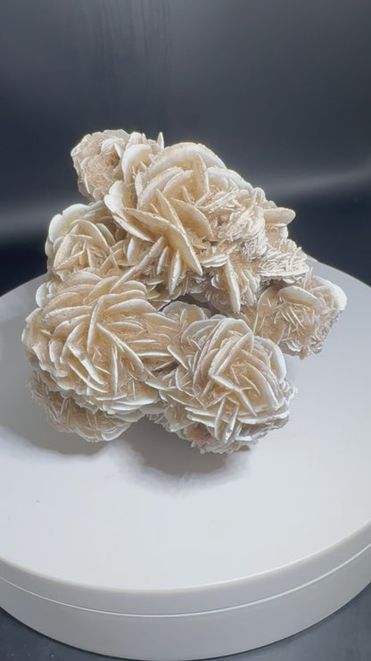 Desert Rose Selenite Cluster 1.7 lbs!