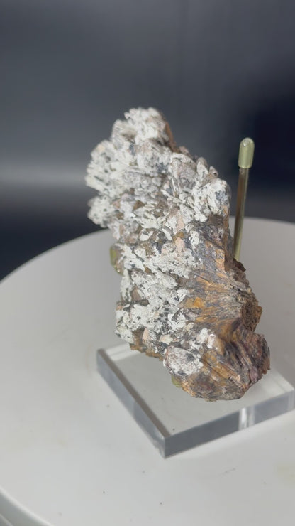 Dalmatian Calcite El Potosi Mine Santa Eulalia Chihuahua Mex 227 Grams