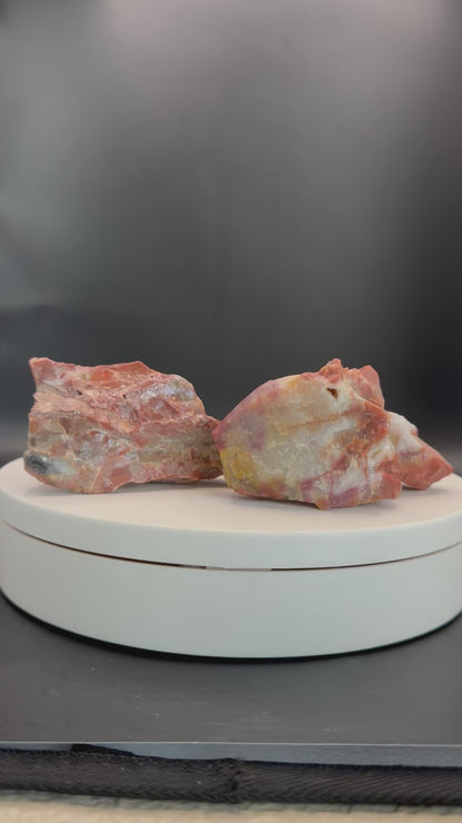 Petrified Wood from Arizona