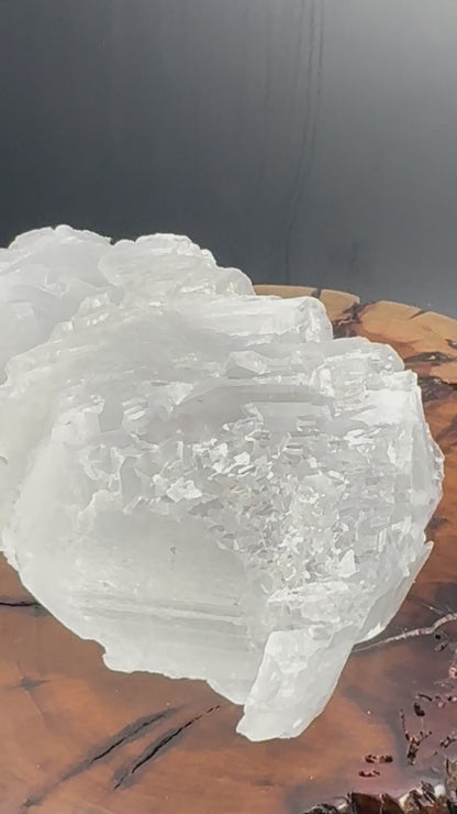 Awesome Fishtail Selenite Laguna del Ray, Coahuila Mex 546 Grams